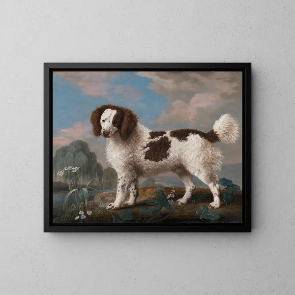 Spaniel norfolk marrón y blanco - George Stubbs — cuadro enmarcado en la pared