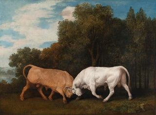 Combate de toros - George Stubbs — vista de la obra