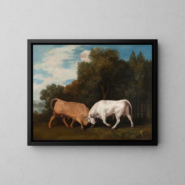 Combate de toros - George Stubbs — cuadro enmarcado en la pared