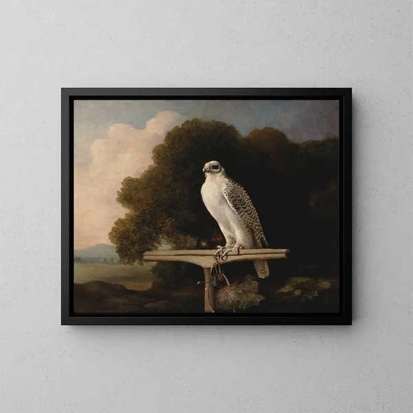 Faucon du Groenland - George Stubbs — cuadro enmarcado en la pared