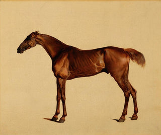 Pangloss - George Stubbs — artwork view