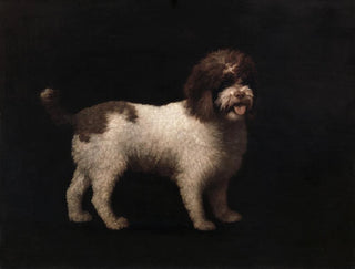 de perro de agua - George Stubbs — vista de la obra