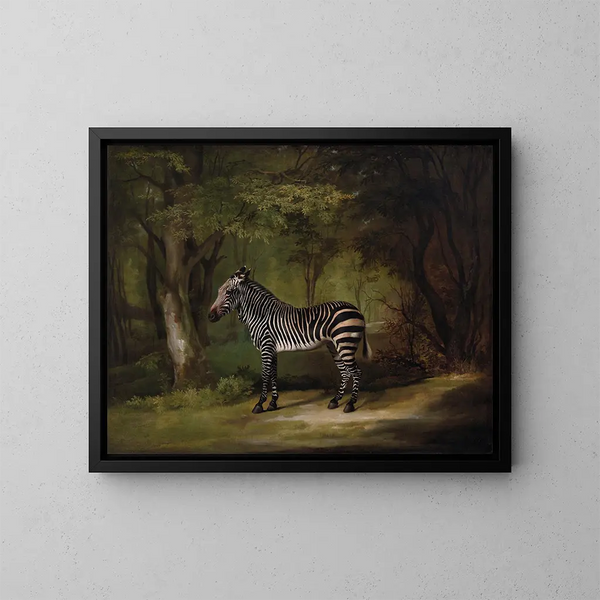Cebra - George Stubbs — cuadro enmarcado en la pared