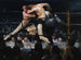 Deer at Sharkey's - George Wesley Bellows — artwork view