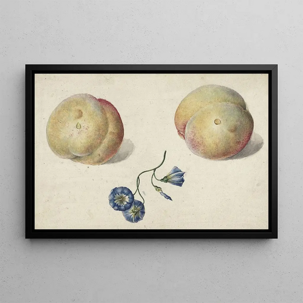 Georgius Jacobus Johannes van Os - Twee perzikken en een bloem.webp