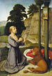 San Jerónimo en el desierto - Gerard David — vista de la obra