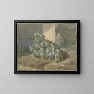 Druiventros - Gerard Sanders — cuadro enmarcado en la pared