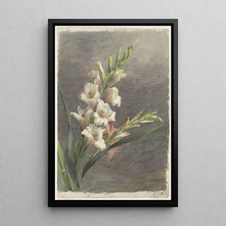 Gerardina Jacoba van de Sande Bakhuyzen - Gladiolen.webp