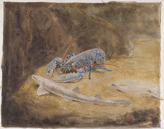 Acuario con tres peces del Mar del Norte: langosta, tiburón de dientes y platija - Gerrit Willem Dijsselhof — vista de la obra