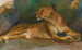 Lionne au repos - Géza Vastagh — artwork view