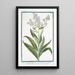Julienne blanche - Giorgio Bonelli — framed artwork on a wall