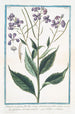 Wild Julienne Painting - Giorgio Bonelli — artwork view