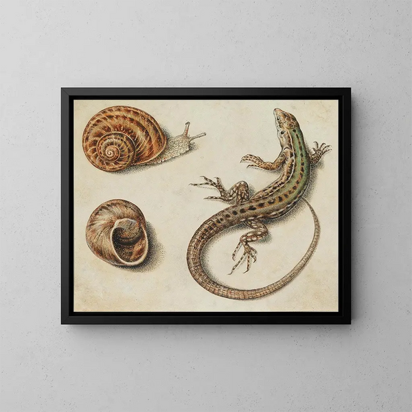 Un lagarto con un caracol y una concha de caracol - Giovanna Garzoni — cuadro enmarcado en la pared