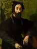 Portrait of a Musician - Girolamo Mazzola Bedoli — artwork view