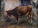 Vaca - Giuseppe Pennasilico — vista de la obra