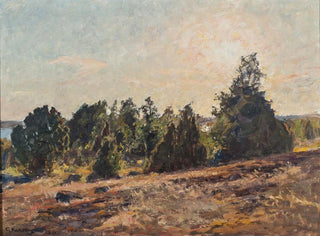 Hacia la noche en el archipiélago de Tjust - Gottfrid Kallstenius — vista de la obra