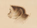 Monkey - Gottfried Mind — artwork view