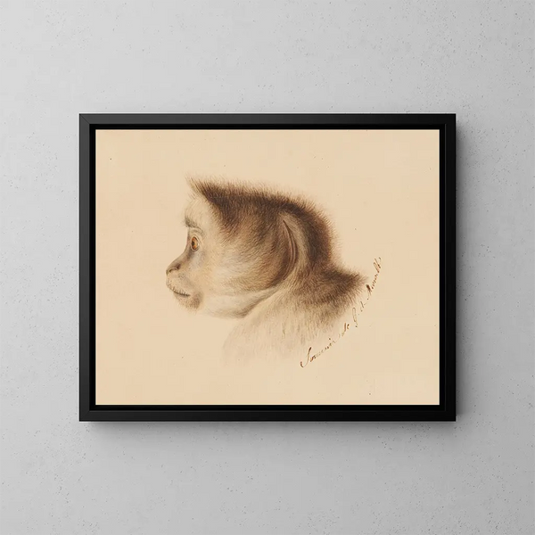 Mono - Gottfried Mind — cuadro enmarcado en la pared