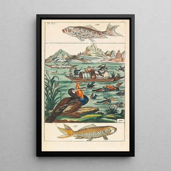 Historia natural 27 volúmenes - Gottlieb Tobias Wilhelm — cuadro enmarcado en la pared