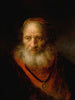 Tronie de un anciano posiblemente un erudito judío - Govert Flinck — vista de la obra
