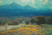 California Poppy Field Painting - Granville Redmond — artwork view
