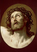 Cabeza de Cristo coronada de espinas - Guido Reni — vista de la obra