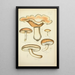 Natural history of mushrooms Pl26 - Guillaume Sicard — framed artwork on a wall