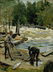 Pesca con salmón - Gunnar Berndtson — vista de la obra