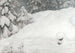 Nieve - Gustaf Fjaestad — vista de la obra