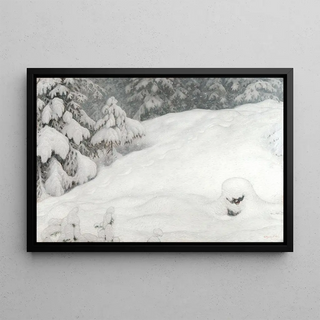 Gustaf Fjstad - Snow.webp