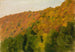 Bosque de otoño en el Brental - Gustav Kampmann — vista de la obra