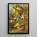 The World of North American Birds pl15 - Gustav Mützel — framed artwork on a wall