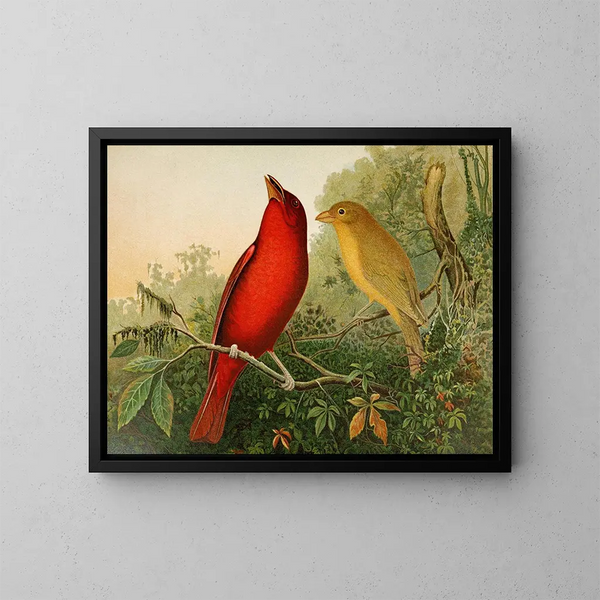 La fauna aviar norteamericana pl20 - Gustav Mützel — cuadro enmarcado en la pared