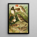 The world of North American birds pl24 - Gustav Mützel — framed artwork on a wall