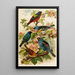 The World of North American Birds pl28 - Gustav Mützel — framed artwork on a wall
