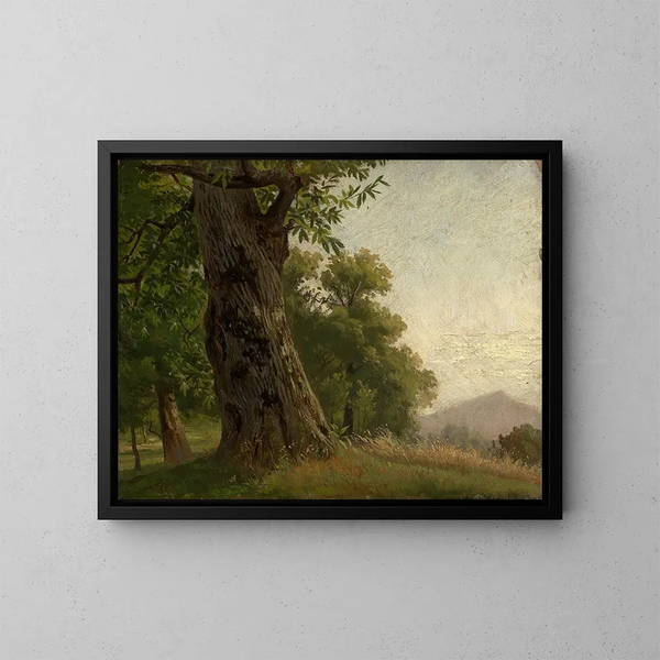Estudio de árbol - Gustav Osterroht — cuadro enmarcado en la pared