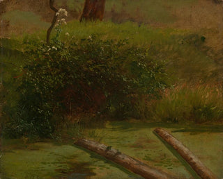 Ciguë de Blhender - Gustav Osterroht — vista de la obra