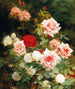 Un rosal - Gustave Bienvenu — vista de la obra