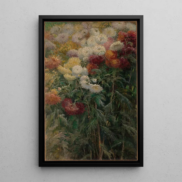Chrysanthemums in the Garden at Petit-Gennevilliers - Gustave Caillebotte — framed artwork on a wall