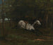Caballo en movimiento - Gustave Courbet — vista de la obra