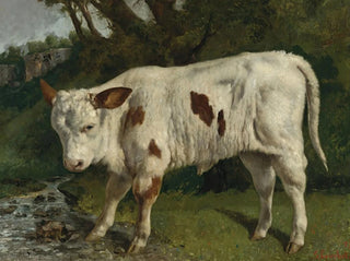 El ternero blanco - Gustave Courbet — vista de la obra