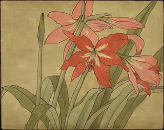 Amaryllis - Hannah Borger Overbeck — vista de la obra