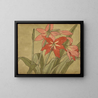 Amaryllis - Hannah Borger Overbeck — cuadro enmarcado en la pared