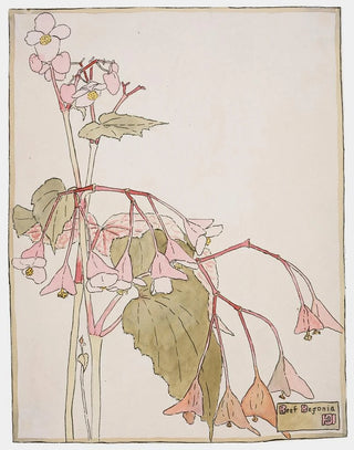 Hannah Borger Overbeck - Beef Begonia.webp