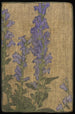 Delphinium - Hannah Borger Overbeck — vista de la obra
