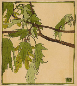 Hannah Borger Overbeck - Maple.webp