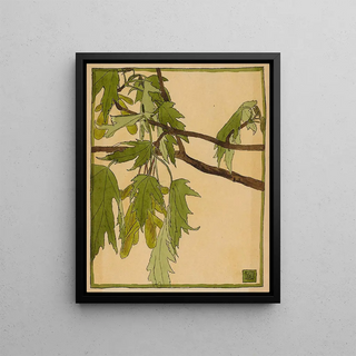 Hannah Borger Overbeck - Maple.webp