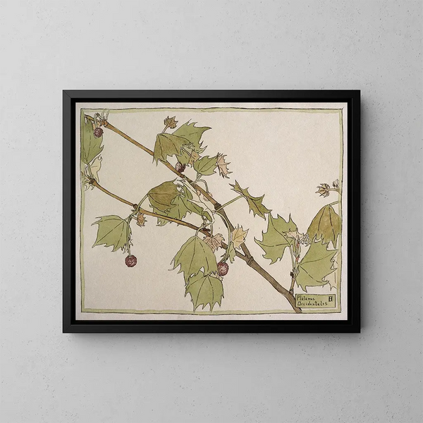 Western Sycomore Painting - Hannah Borger Overbeck — framed artwork on a wall