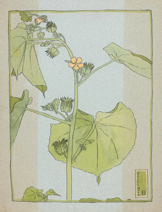 Hannah Borger Overbeck - Velvet Weed.webp