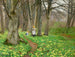 Los niños recolectan flores en el bosque primaveral - Hans Andersen Brendekilde — vista de la obra